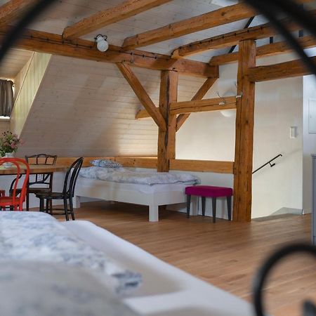 Apartament Mlyn Salajna Dolni Zandov Zewnętrze zdjęcie