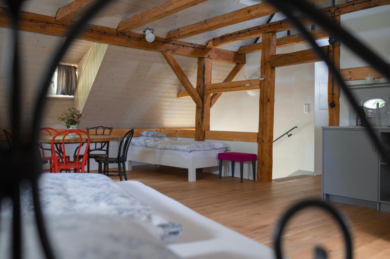 Apartament Mlyn Salajna Dolni Zandov Zewnętrze zdjęcie