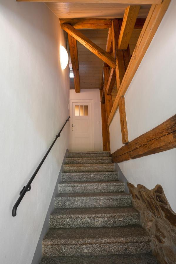 Apartament Mlyn Salajna Dolni Zandov Zewnętrze zdjęcie