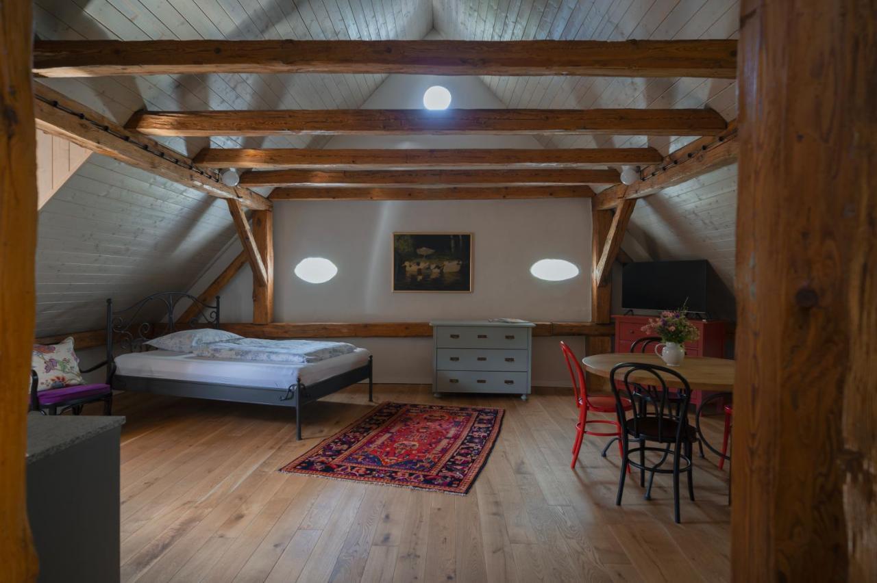Apartament Mlyn Salajna Dolni Zandov Zewnętrze zdjęcie